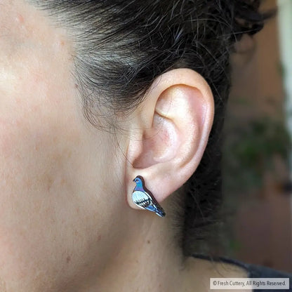 Pigeon Studs