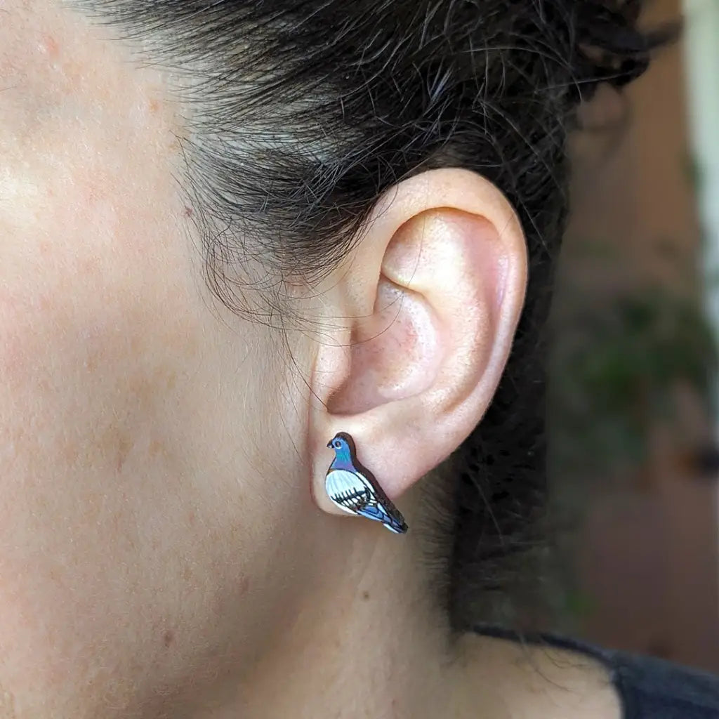 Pigeon Studs