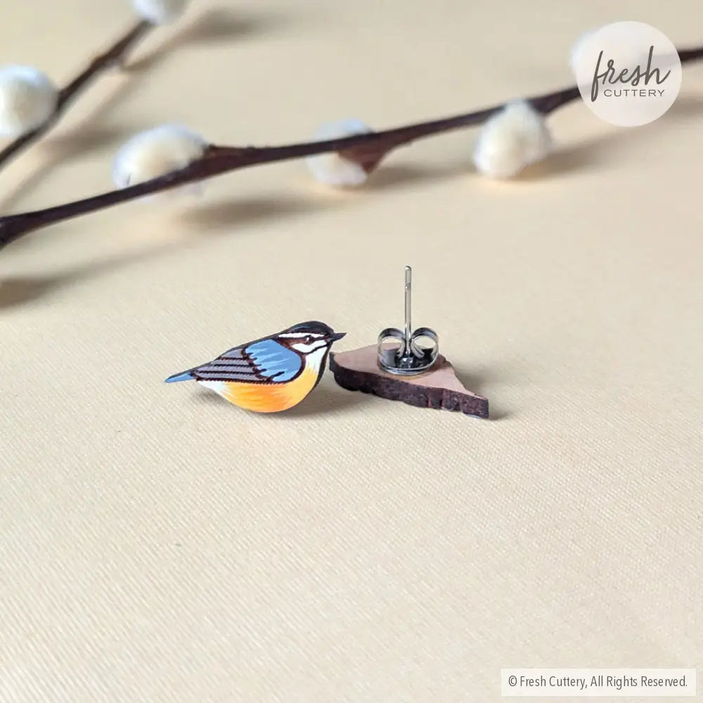 Red-Breasted Nuthatch Studs