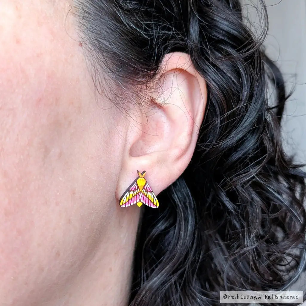 Rosy Maple Moth Studs Studs