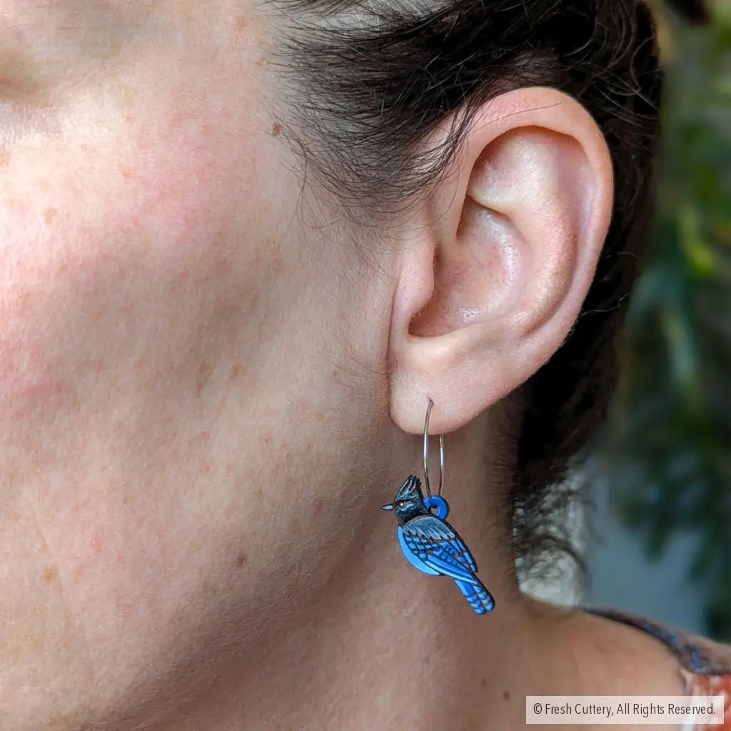 Steller’s Jay Mini Hoops Dangle And Drop Earrings
