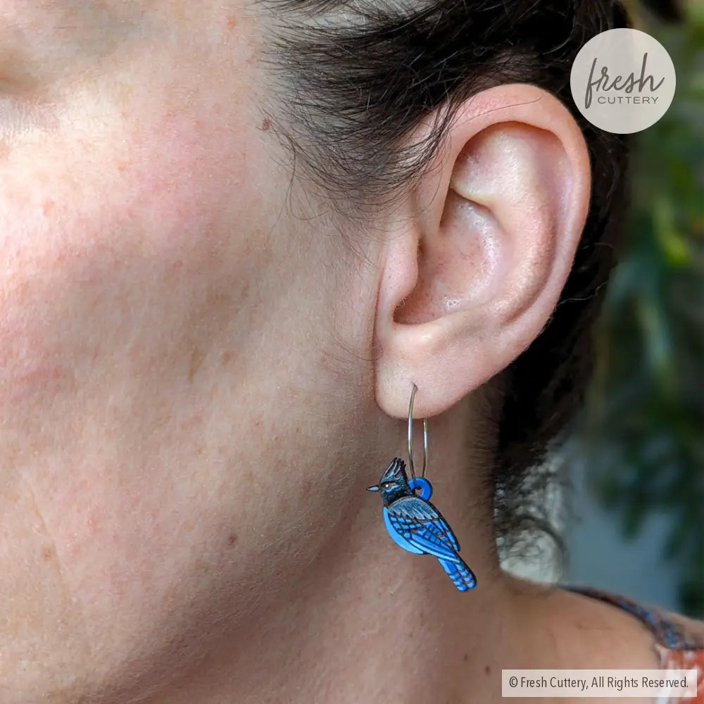 Steller’s Jay Mini Hoops Dangle And Drop Earrings