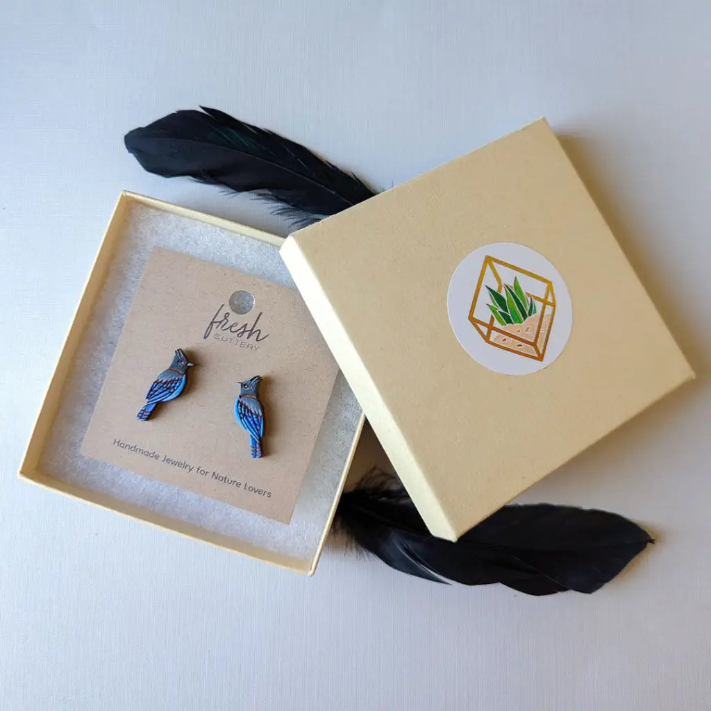 Steller’s Jay Studs