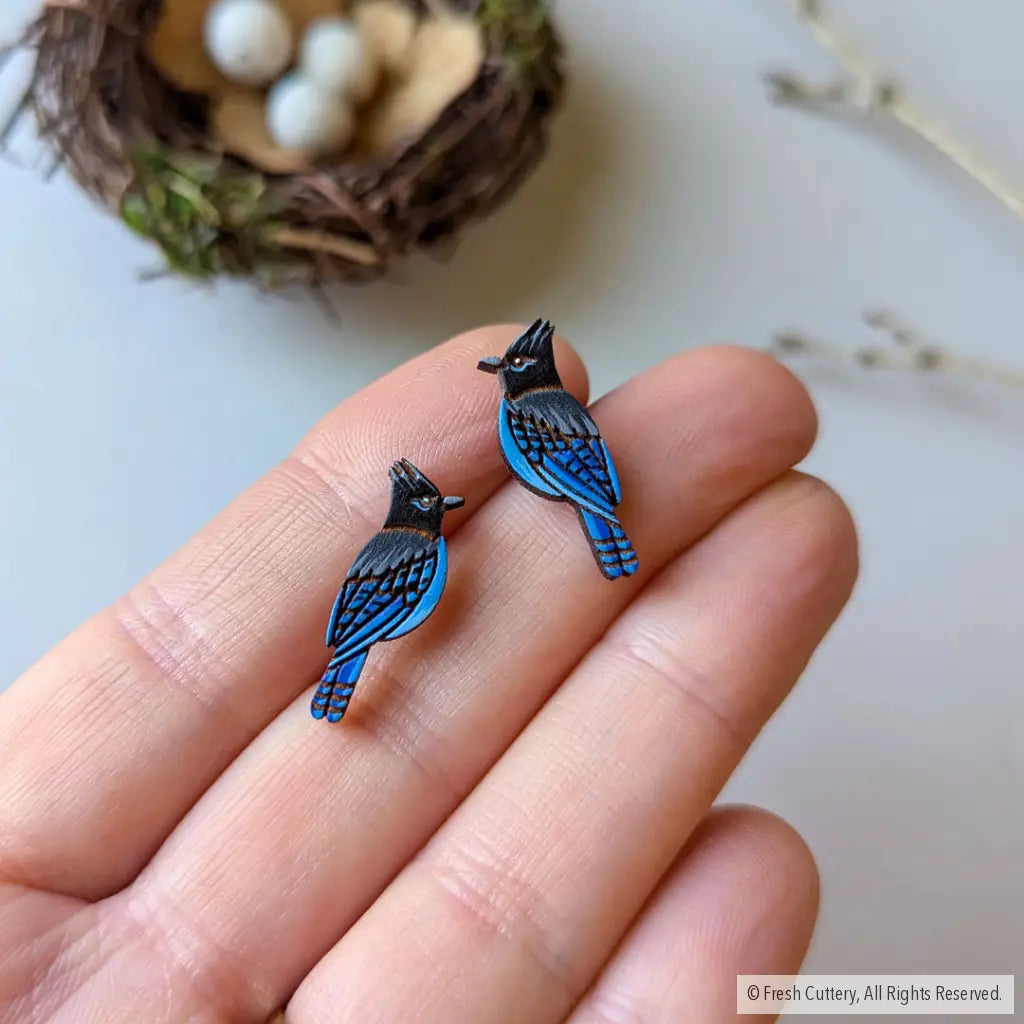 Steller’s Jay Studs