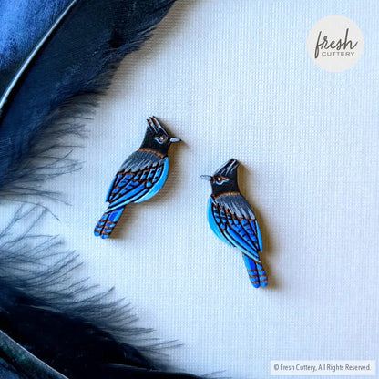 Steller’s Jay Studs