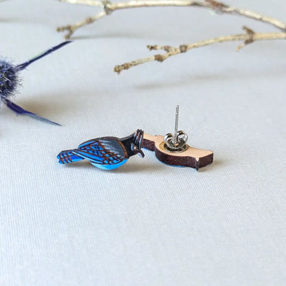 Steller’s Jay Studs