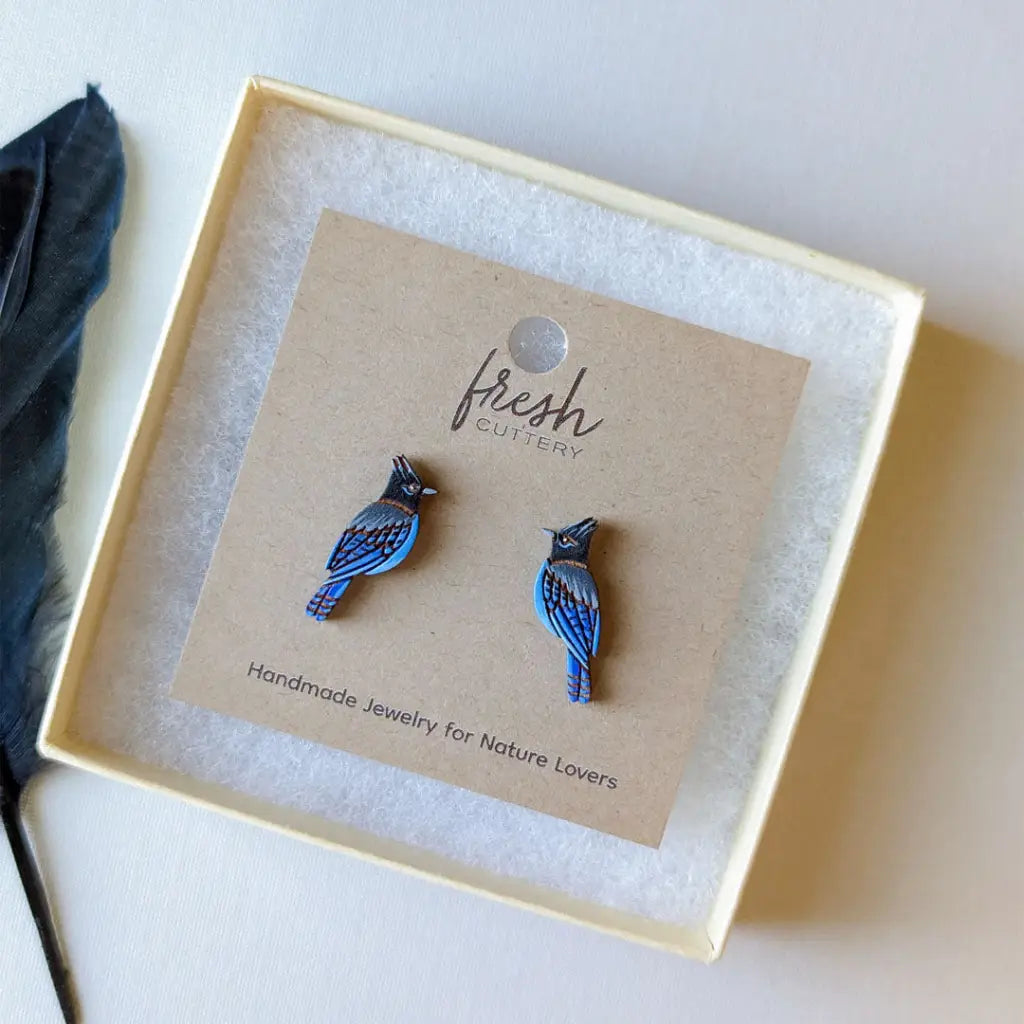 Steller’s Jay Studs