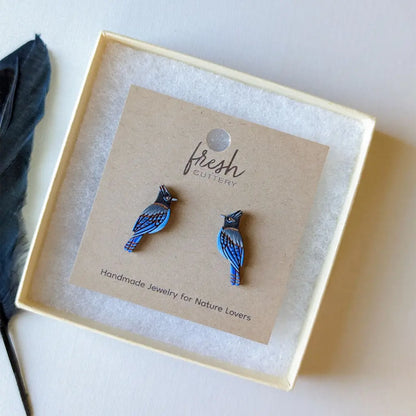 Steller’s Jay Studs