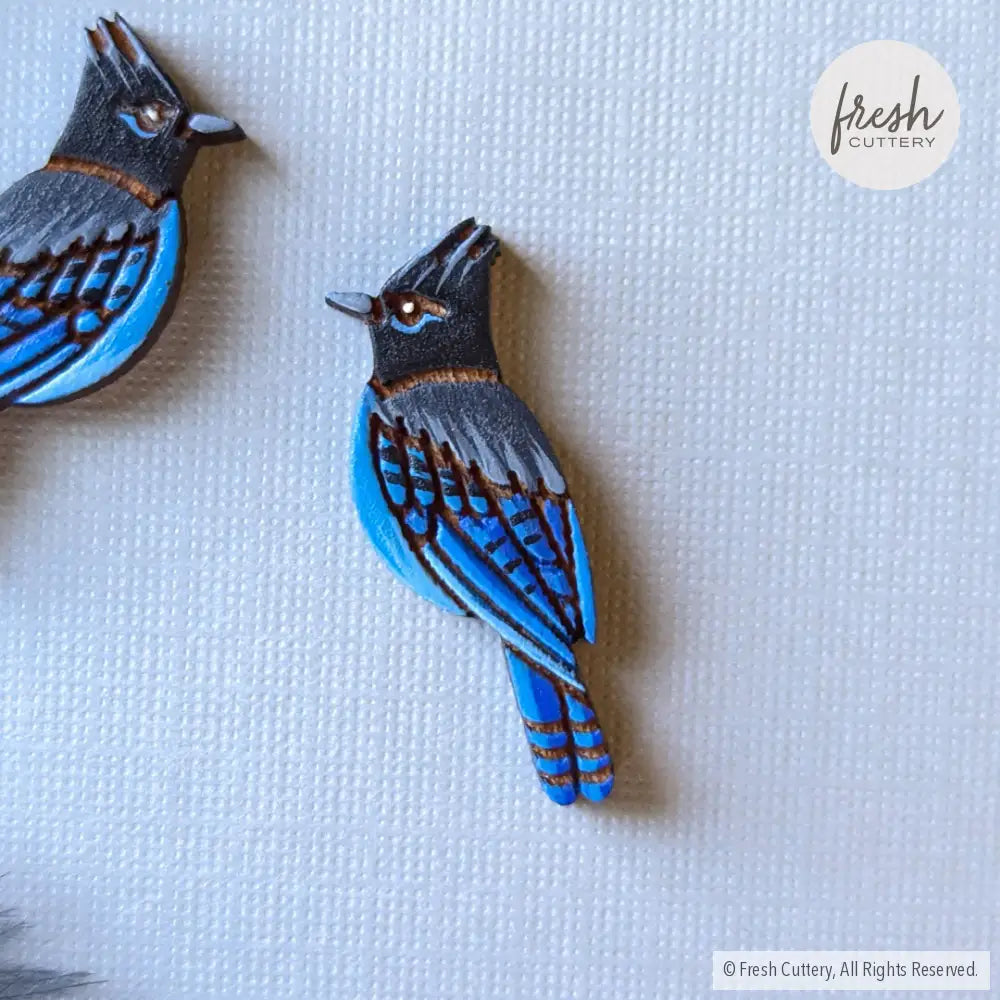 Steller’s Jay Studs