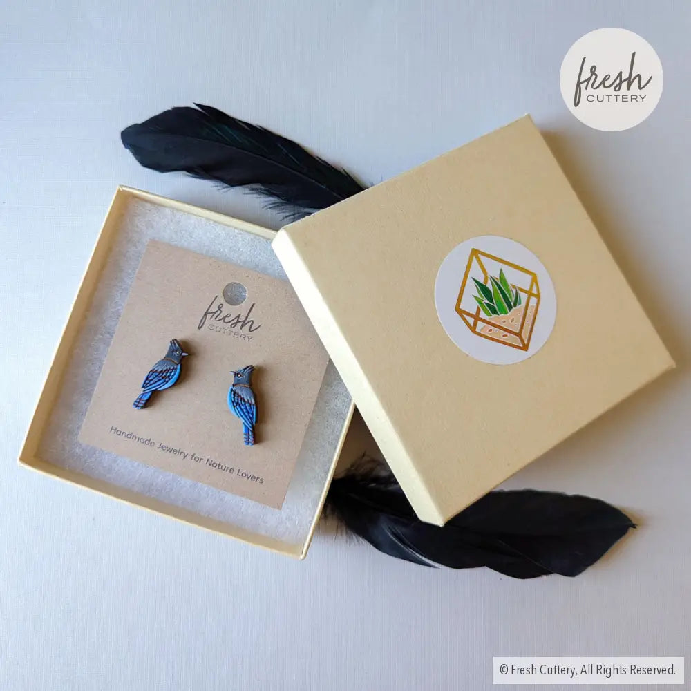 Steller’s Jay Studs