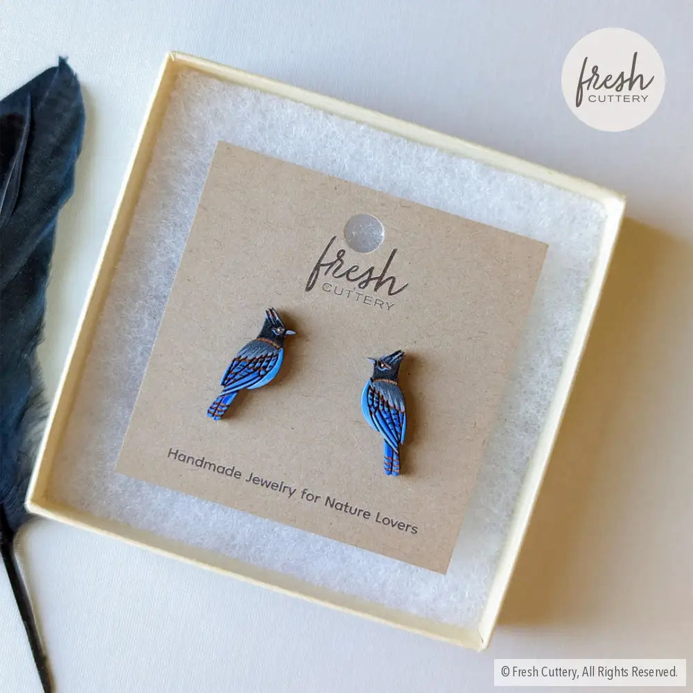 Steller’s Jay Studs