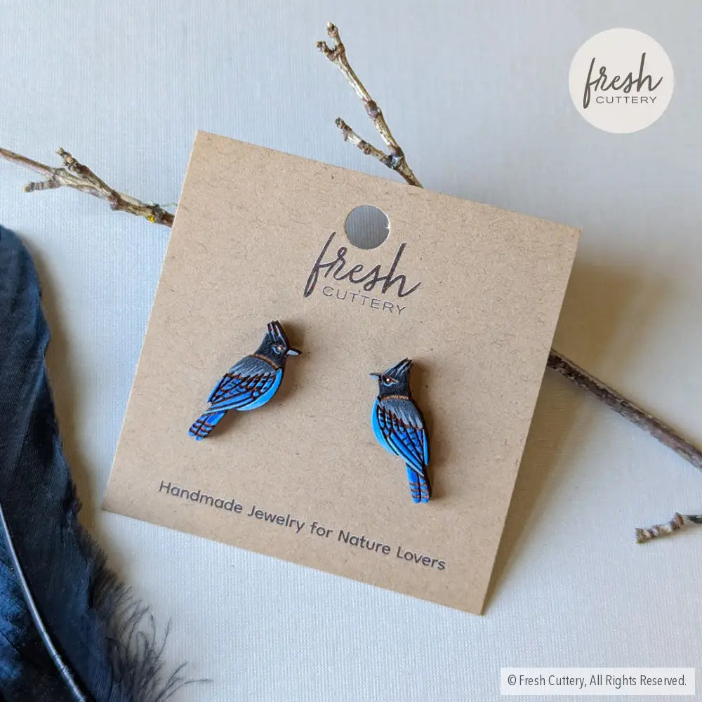 Steller’s Jay Studs