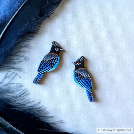 Steller’s Jay Studs