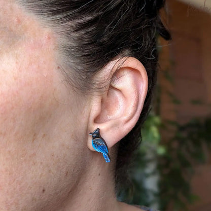 Steller’s Jay Studs