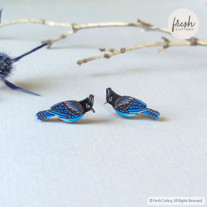 Steller’s Jay Studs