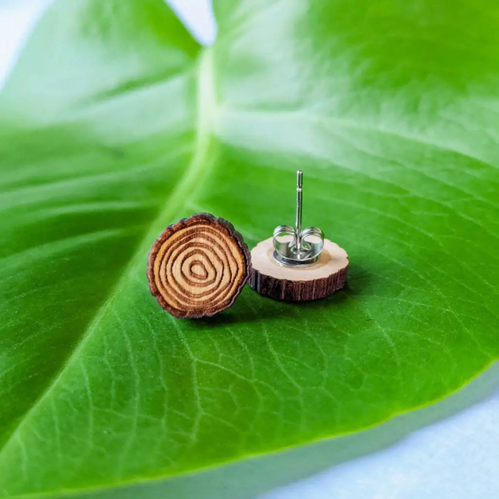Tree Ring Studs