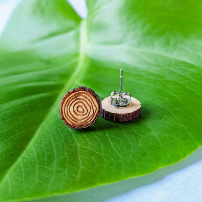 Tree Ring Studs