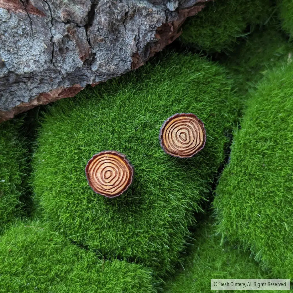 Tree Ring Studs
