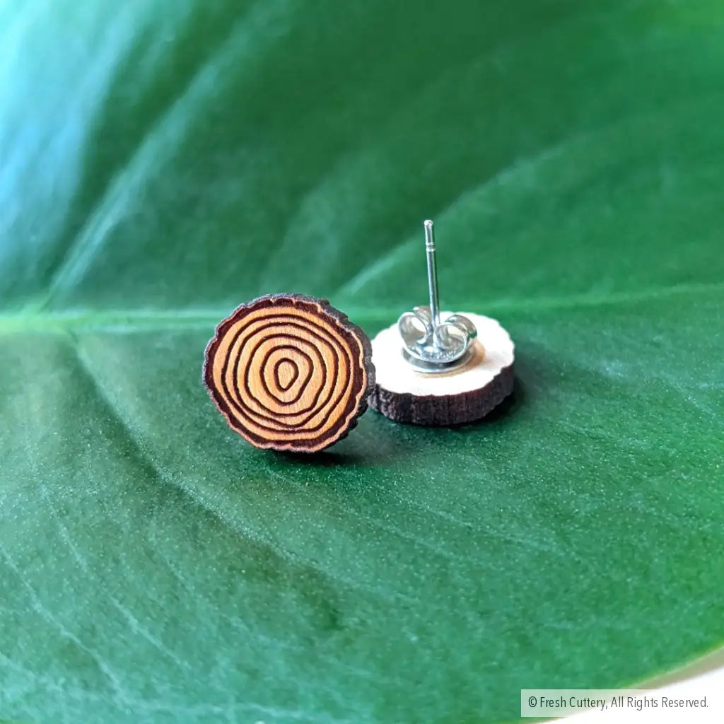Tree Ring Studs - Studs
