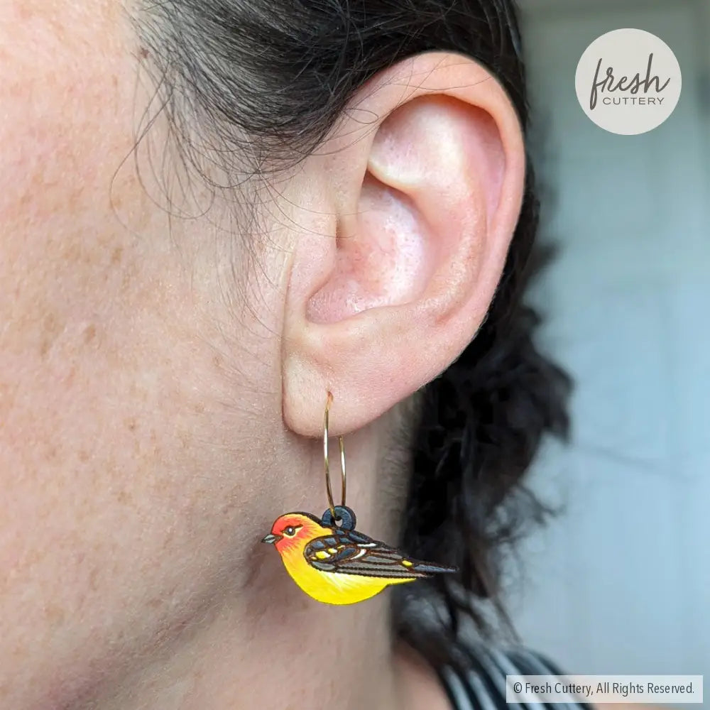 Western Tanager Mini Hoops Dangle And Drop Earrings