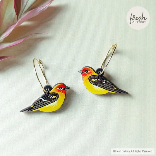 Western Tanager Mini Hoops Gold Dangle And Drop Earrings